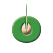 cropped-o_semilla_512x512.png